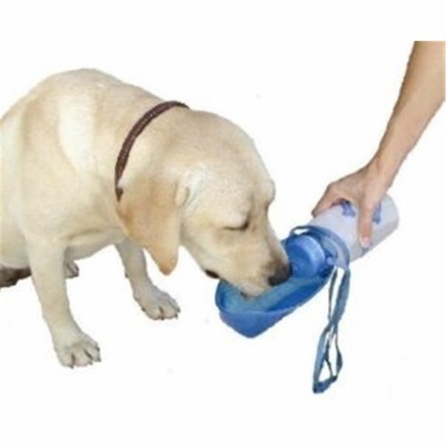 Thirsty dog water best sale bottle