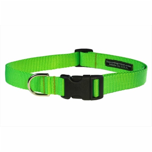 Nylon webbing dog best sale collars