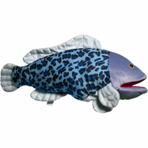 tropical fish shop online
