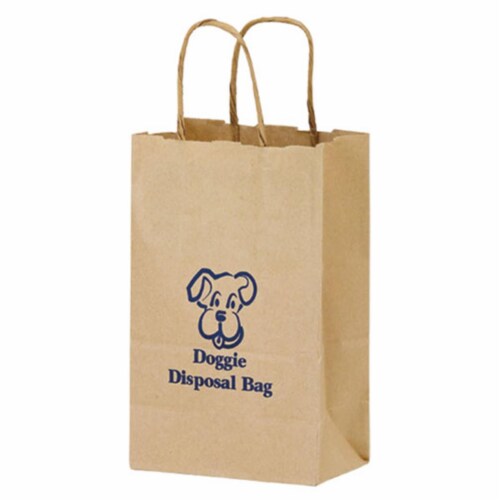 AAB 1N538 Natural Kraft Paper Shopping Bag - Pack of 250 Perspective: front