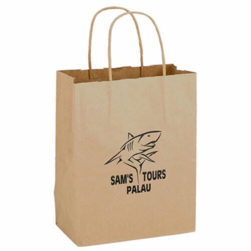 AAB 1N8410 8 in. x 10.25 in. Natural Kraft Paper Shopping Bag - Pack of 250 Perspective: front