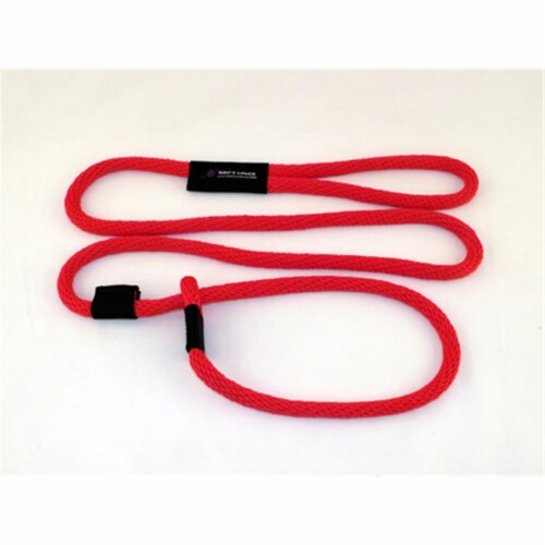 10 ft leash shop