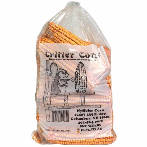 Corn Critter Perspective: front