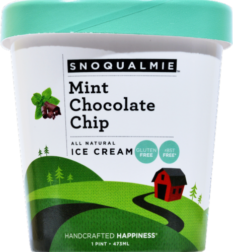 Snoqualmie Mint Chocolate Chip Ice Cream Pint Perspective: front