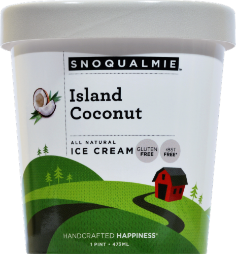 Snoqualmie Island Coconut Ice Cream Pint Perspective: front