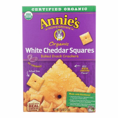 Annie's Homegrown Organic Cheddar Bunnies – Healthy Snack Solutions