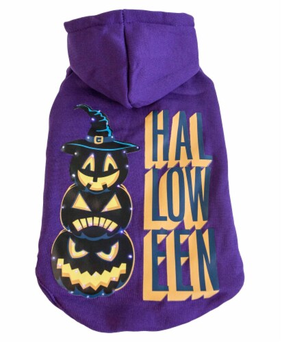 Hoodie with led lights hot sale
