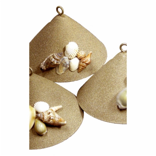 Window Seashell, Sugar Sand Perspective: front