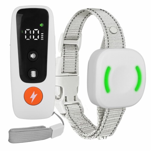 Electronic remote dog training Electronic remote dog training