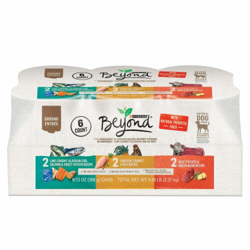 Purina beyond grain free wet cat food hot sale