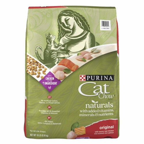 Purina dry cat food hot sale