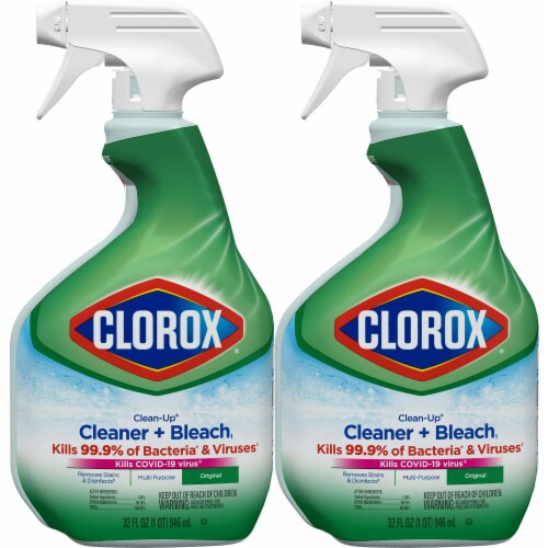 Clorox spray hotsell