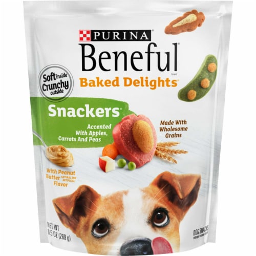 Purina beneful test 2025