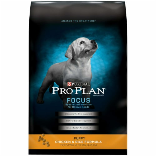 Pantene Pro Plan Puppy Dry Dog Food For Puppies Chicken Rice 6 Lb Bag 1 Pack Smith s Food and Drug