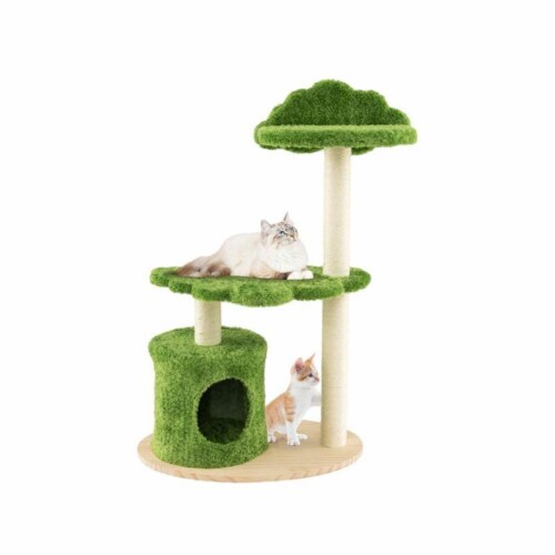 Cat furniture store shop