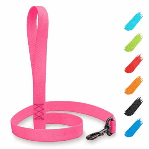 Non slip dog leash clearance