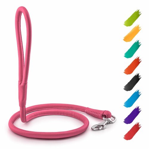 4ft leather dog leash deals