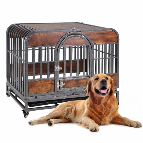 Fred meyer dog crate store