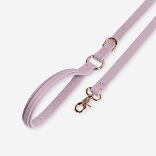 Merci Collective - Jump Around - Luxury Waterproof Durable Dog Leash Perspective: front