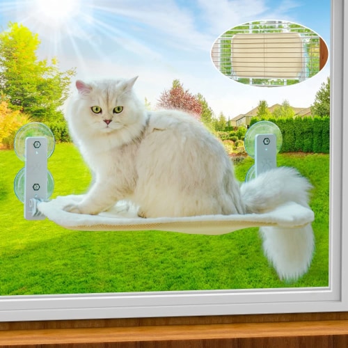 Window mounted perch for cats new arrivals