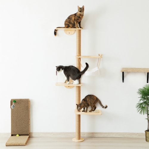 Cat scratching wood deals