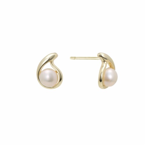 Fred meyer earrings on sale