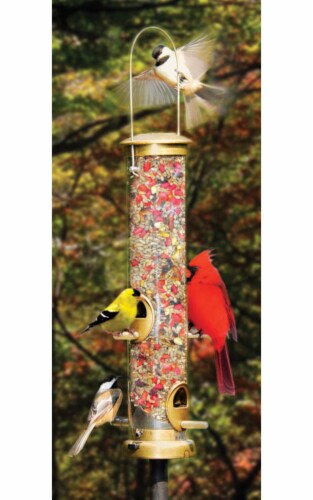 Coles Wild Bird Product Feeder Wild Bird Tube 4 Port 1 Fry s