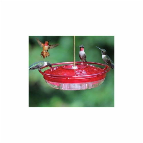 High-Style Bird Feeder