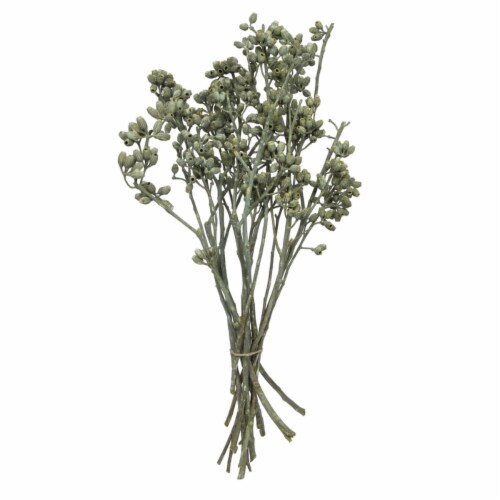 12 x 1-3 in. Eucalyptus Clusters, Green - 16 Piece Perspective: front