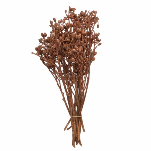 12 x 1-3 in. Eucalyptus Clusters, Orange - 16 Piece Perspective: front