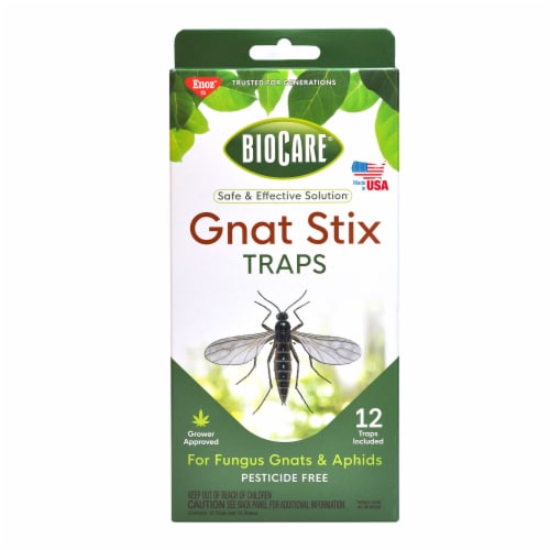 OwnGrown Yellow Sticky Traps for Gnats: 60x - Gnat Traps for House Indoor  Plants, Yellow Flowers - Kroger