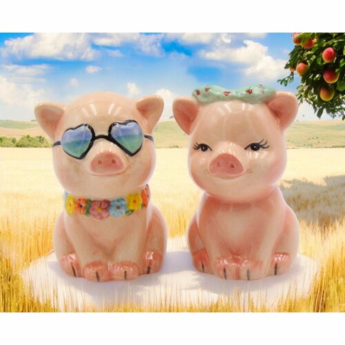Hand Painted Ceramic Happy Pig Salt Pepper Shakers Set Farmhouse Kitchen Decor 2pcs Harris Teeter