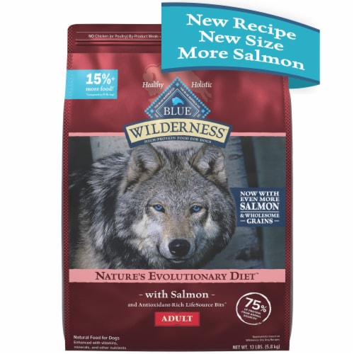 Protein rich food for dogs online