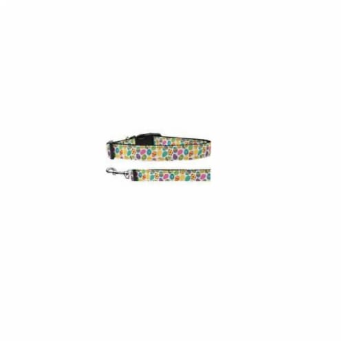 Confetti Eggs Nylon Dog Leash - 6 ft. Perspective: front
