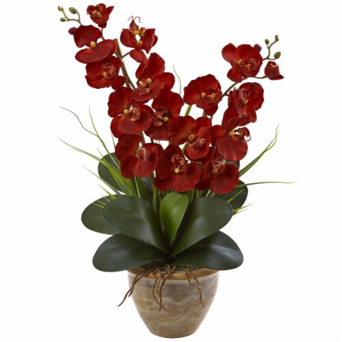 Seasonal Double Phalaenopsis Orchid Arrangement, Autumn Perspective: front
