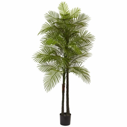 Double Robellini Palm Tree UV Resistant Perspective: front