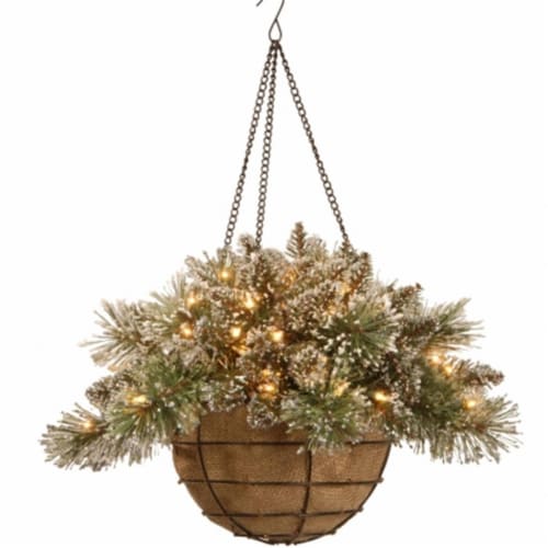 Glittery Bristle Pine Hanging Basket With Pine Cones, 20 in. Perspective: front