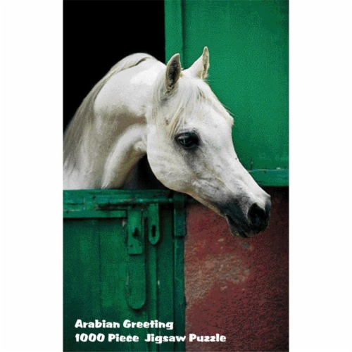 28.8 x 20.25 in. Puzzles - Arabian Greeting Perspective: front
