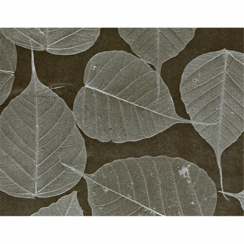Washington Wall Covers D70305-0001 Leaves Wallpaper - Double Roll, Black  Silver - Page 24, 1 - Kroger