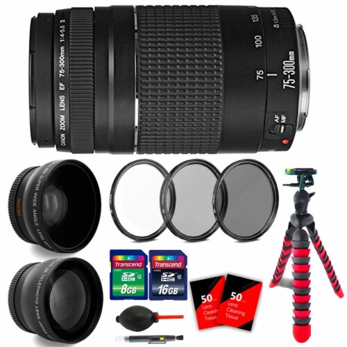Canon Ef 75 300mm F 4 5 6 Iii Lens For Eos Rebel Xti T4i T5 T6 T6i T6s 70d 80d 1 Fred Meyer