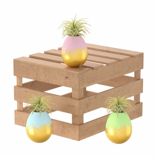 Penang Gold Flaked Easter Egg with Air Plant Perspective: front