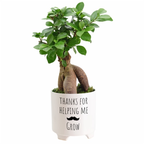 Thanks For Helping Me Grow Father's Day Mustache Medium Bonsai - Assorted Perspective: front