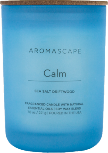 Aromascape Calm Sea Salt Driftwood Jar Candle - Blue Perspective: front