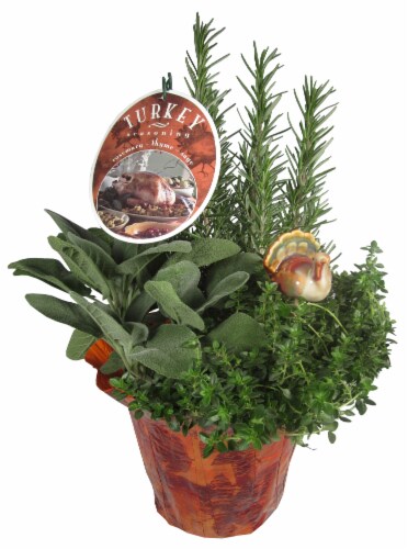 Turkey Seasoning Herb Garden Perspective: front
