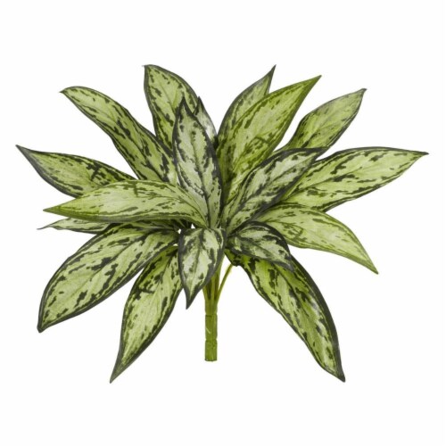 10 in. Silver Queen Artificial Plant - Set of 6 Perspective: front