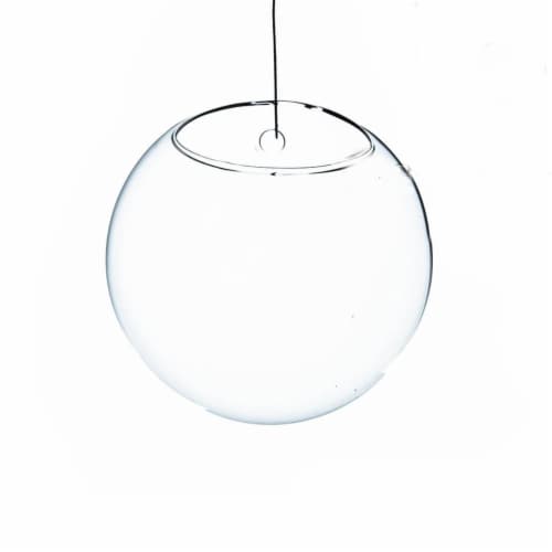 6 in. Dia. Clear Half-Round Wall Hanging Terrarium & Vase Perspective: front