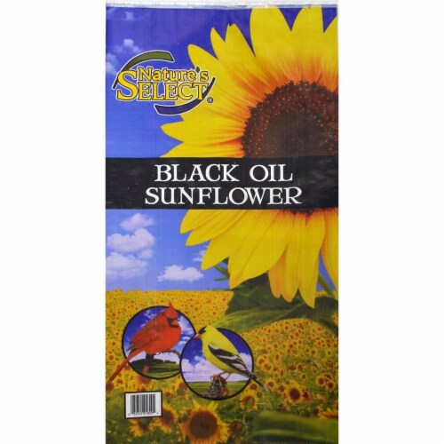 20 lbs Black Oil Sunflower Seed Perspective: front