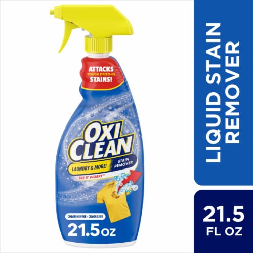  Spray 'n Wash Pre-Treat Laundry Stain Remover, 22 fl oz Bottle  (Pack of 2) : Health & Household