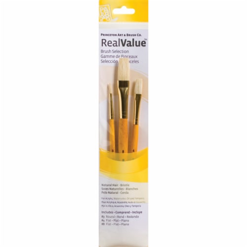 Princeton Brush Real Value™ Bristle Brush Set Round 3 Flat 4 & 8 Perspective: front