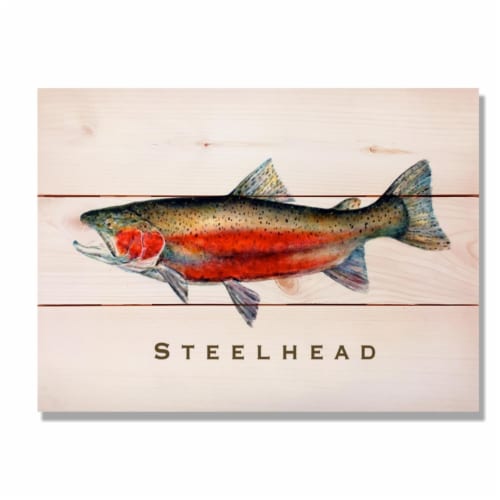 Day Dream HQ DCSH1511 15 x 11 in. Steelhead Wall Art Perspective: front